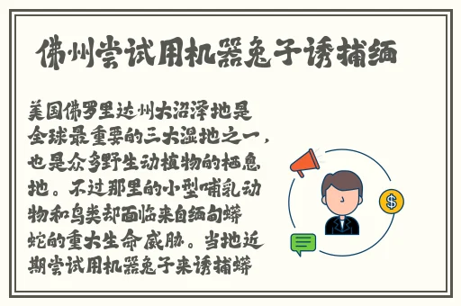 永久ye8.8